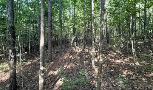 Photo #8 of Off of Piney Grove rd, Kernersville, NC 26.5 acres