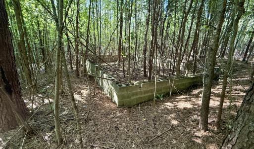 Photo #9 of Off of Piney Grove rd, Kernersville, NC 26.5 acres