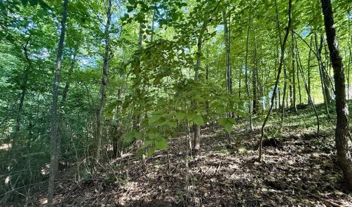 Photo #23 of Off of Piney Grove rd, Kernersville, NC 26.5 acres