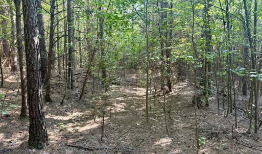 Photo #26 of Off of Piney Grove rd, Kernersville, NC 26.5 acres