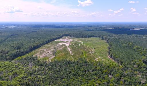 Photo #19 of Off of Newville Rd. , Waverly, VA 125.0 acres