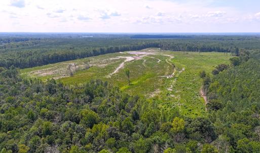 Photo #20 of Off of Newville Rd. , Waverly, VA 125.0 acres