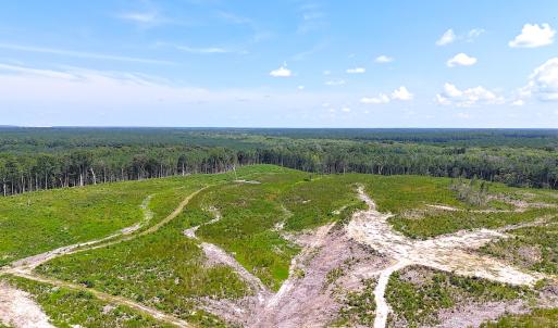 Photo #1 of Off of Newville Rd. , Waverly, VA 125.0 acres