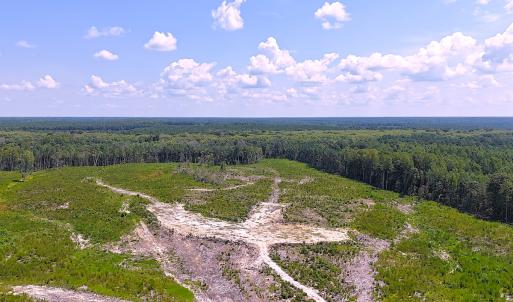 Photo #3 of Off of Newville Rd. , Waverly, VA 125.0 acres