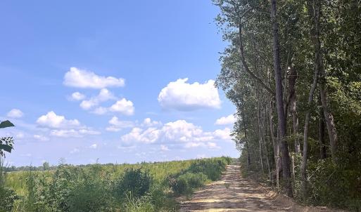 Photo #5 of Off of Newville Rd. , Waverly, VA 125.0 acres