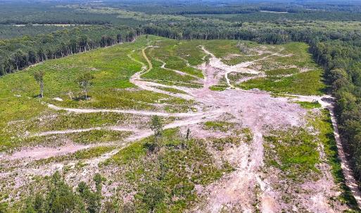 Photo #6 of Off of Newville Rd. , Waverly, VA 125.0 acres