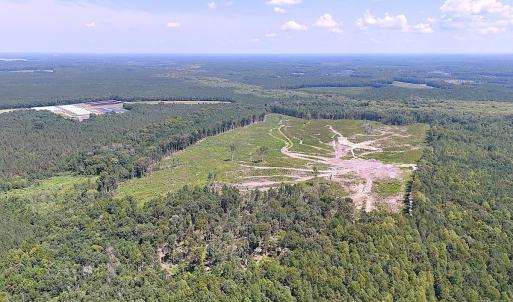 Photo #8 of Off of Newville Rd. , Waverly, VA 125.0 acres