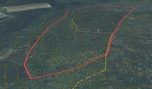 Photo #9 of Off of Newville Rd. , Waverly, VA 125.0 acres