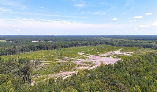 Photo #10 of Off of Newville Rd. , Waverly, VA 125.0 acres