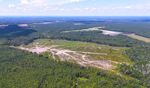 Photo #11 of Off of Newville Rd. , Waverly, VA 125.0 acres