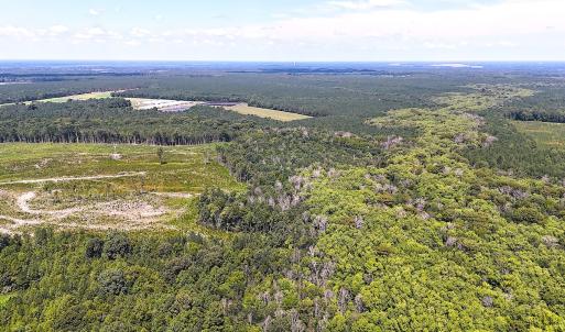 Photo #12 of Off of Newville Rd. , Waverly, VA 125.0 acres