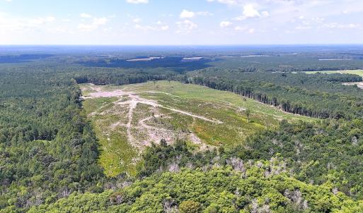 Photo #14 of Off of Newville Rd. , Waverly, VA 125.0 acres