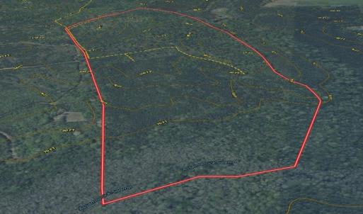Photo #15 of Off of Newville Rd. , Waverly, VA 125.0 acres