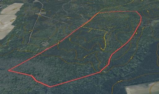 Photo #21 of Off of Newville Rd. , Waverly, VA 125.0 acres