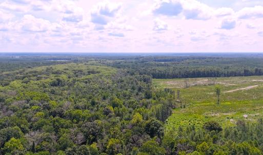 Photo #22 of Off of Newville Rd. , Waverly, VA 125.0 acres