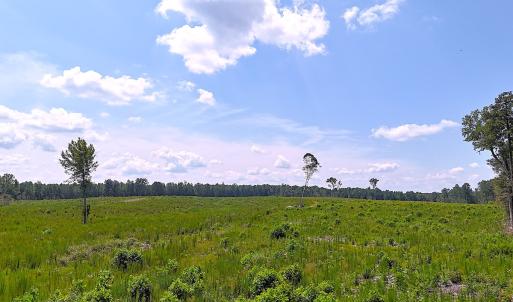 Photo #23 of Off of Newville Rd. , Waverly, VA 125.0 acres