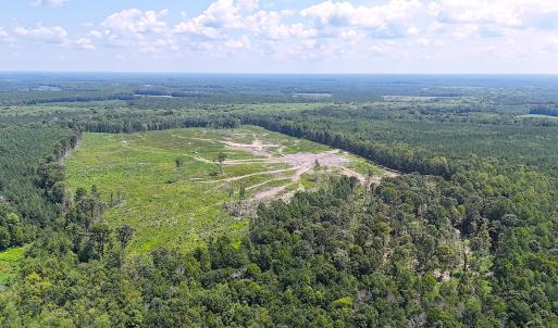 Photo #24 of Off of Newville Rd. , Waverly, VA 125.0 acres