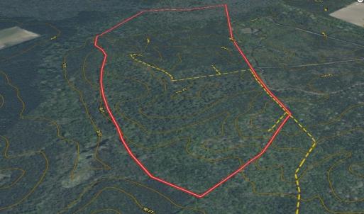 Photo #25 of Off of Newville Rd. , Waverly, VA 125.0 acres