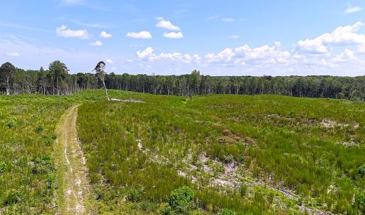 Photo #29 of Off of Newville Rd. , Waverly, VA 125.0 acres