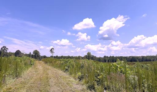 Photo #30 of Off of Newville Rd. , Waverly, VA 125.0 acres