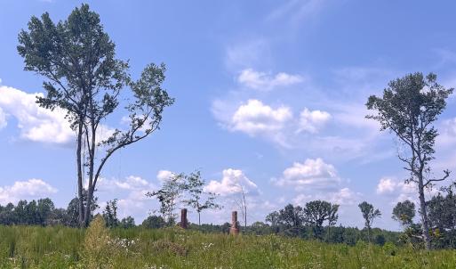 Photo #33 of Off of Newville Rd. , Waverly, VA 125.0 acres