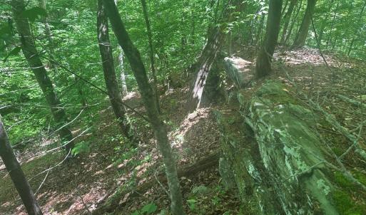 Photo #2 of Off of  Jones Overlook , Howardsville, VA 8.2 acres