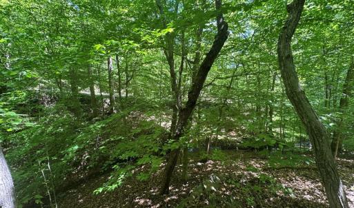 Photo #13 of Off of  Jones Overlook , Howardsville, VA 8.2 acres
