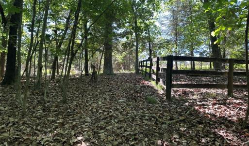 Photo #16 of Off of  Jones Overlook , Howardsville, VA 8.2 acres