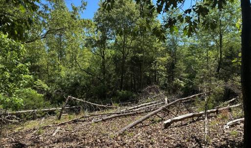 Photo #21 of Off of  Jones Overlook , Howardsville, VA 8.2 acres