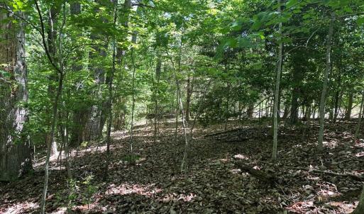 Photo #25 of Off of  Jones Overlook , Howardsville, VA 8.2 acres