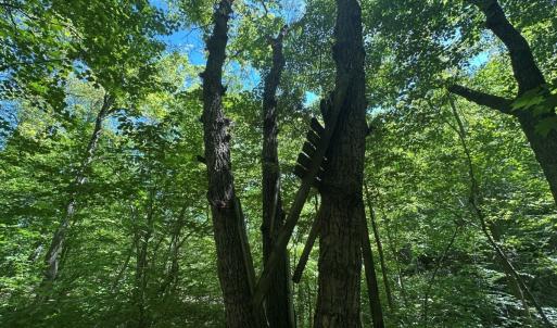 Photo #27 of Off of  Jones Overlook , Howardsville, VA 8.2 acres