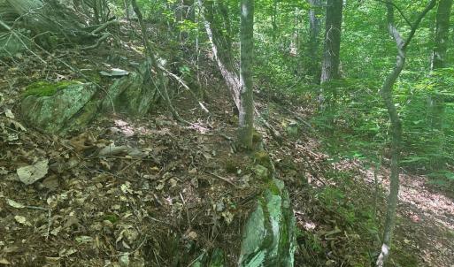 Photo #29 of Off of  Jones Overlook , Howardsville, VA 8.2 acres