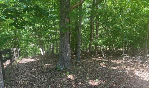 Photo #32 of Off of  Jones Overlook , Howardsville, VA 8.2 acres
