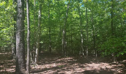 Photo #36 of Off of  Jones Overlook , Howardsville, VA 8.2 acres