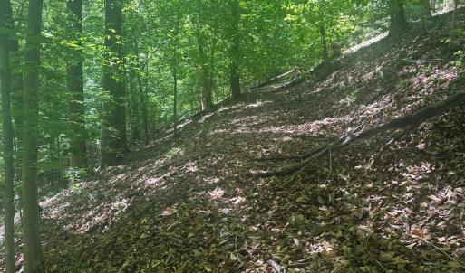 Photo #39 of Off of  Jones Overlook , Howardsville, VA 8.2 acres