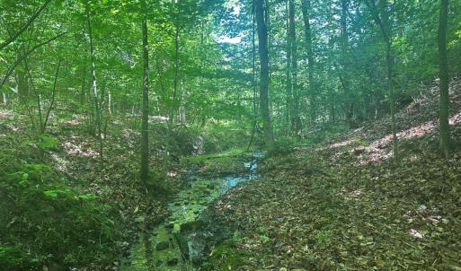 Photo #42 of Off of  Jones Overlook , Howardsville, VA 8.2 acres