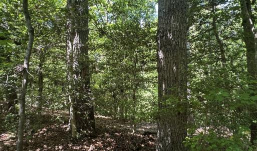 Photo #44 of Off of  Jones Overlook , Howardsville, VA 8.2 acres