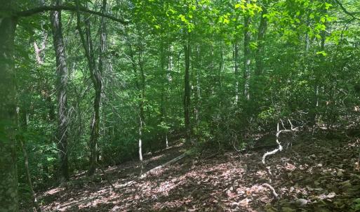 Photo #46 of Off of  Jones Overlook , Howardsville, VA 8.2 acres