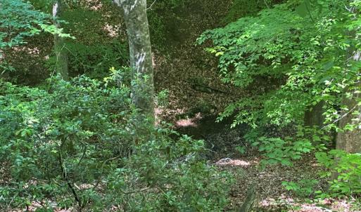 Photo #48 of Off of  Jones Overlook , Howardsville, VA 8.2 acres
