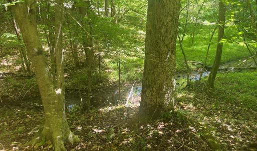 Photo #50 of Off of  Jones Overlook , Howardsville, VA 8.2 acres