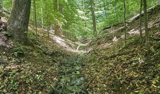 Photo #52 of Off of  Jones Overlook , Howardsville, VA 8.2 acres