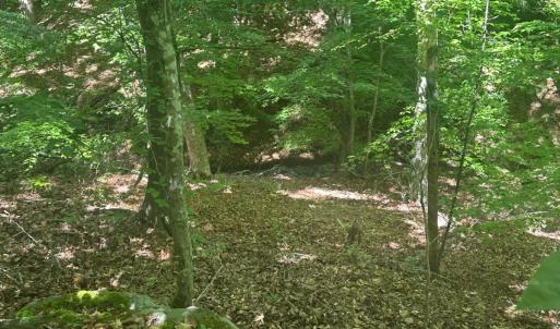 Photo #54 of Off of  Jones Overlook , Howardsville, VA 8.2 acres