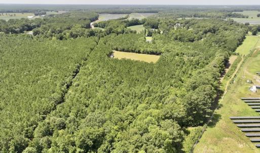 Photo #12 of Off Morning Star Church Road, Battleboro, NC 17.5 acres