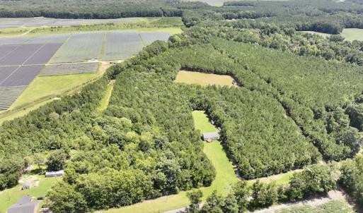 Photo #16 of Off Morning Star Church Road, Battleboro, NC 17.5 acres