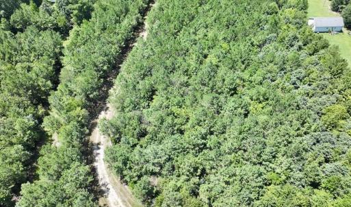 Photo #18 of Off Morning Star Church Road, Battleboro, NC 17.5 acres