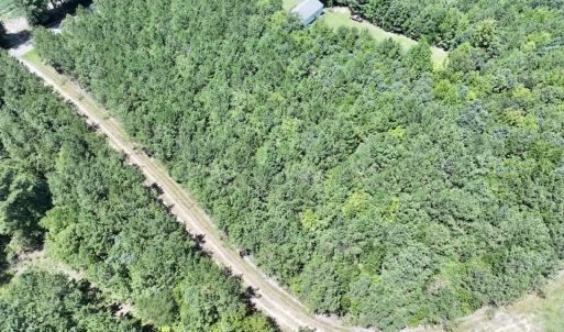 Photo #19 of Off Morning Star Church Road, Battleboro, NC 17.5 acres