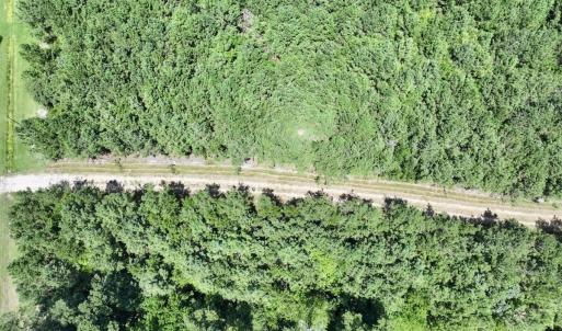 Photo #20 of Off Morning Star Church Road, Battleboro, NC 17.5 acres