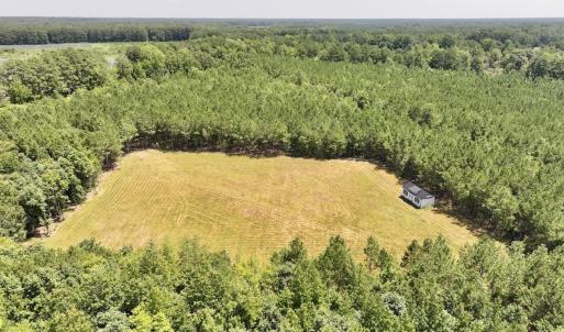 Photo #3 of Off Morning Star Church Road, Battleboro, NC 17.5 acres