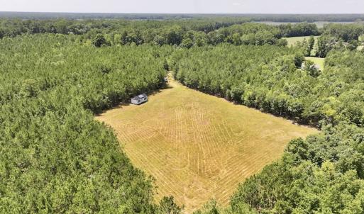 Photo #6 of Off Morning Star Church Road, Battleboro, NC 17.5 acres