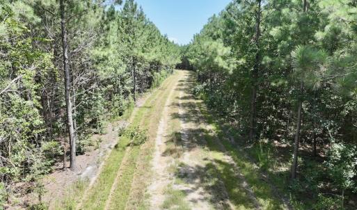 Photo #21 of Off Morning Star Church Road, Battleboro, NC 17.5 acres
